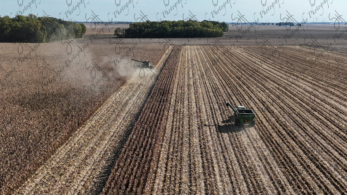 Combine and Grain Cart